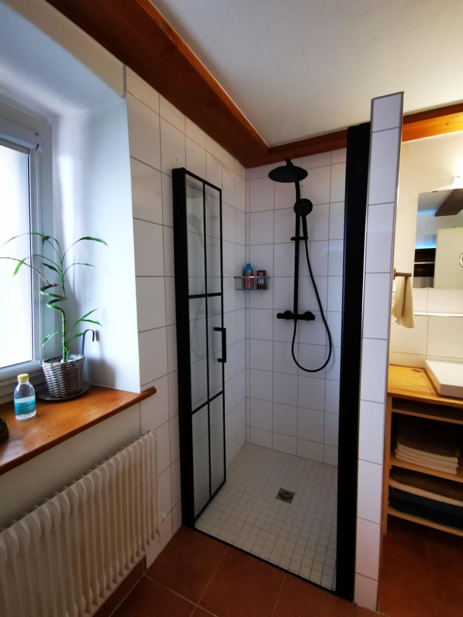 Alpenpanorama Haegelberg Apartment Steinen  Luaran gambar
